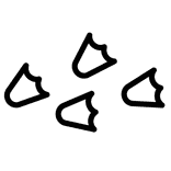 A pata